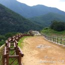 문경 오미자테마터널 이미지