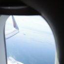 도깨비스시 | 【리코GR3X】 삿포로여행가서 2kg 찌고옴,, 스프카레, 토리톤스시까지 뿌신 후기