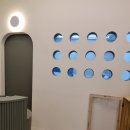 고양이의 산책:묘책 이미지