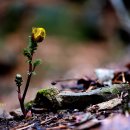 내서읍473 이미지