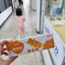 라하네아이스크림 | 착한 귤 탕후루 초간단후기 조카한테3000원털려따..