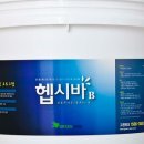 햅시바 이미지