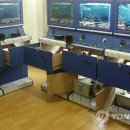 하나게임장 이미지