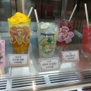 수우정보 이미지