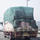 부산화물 이미지
