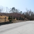 3,한남 금북정맥 3구간 (한남정맥 일부구간) 이미지