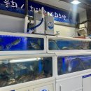 금천회마을
