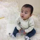 세븐일레븐 인천용종점 | [인천] 용종도 네스트호텔에서 호캉스 보내기 - 우리가족이용기 첫째날