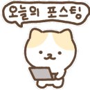 안동미트 이미지