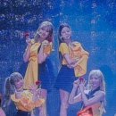 큐리어스 Daum카페