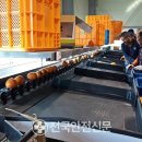 남울진농협온정지점 이미지