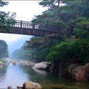 계곡농협주유소 이미지