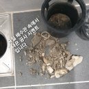 깔끔이청소박사 이미지