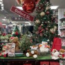 모던239 | 가성비 최고 모던하우스 크리스마스소품 추천 집꾸미기 인테리어 꿀팁