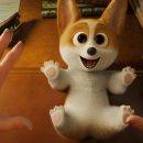 프린스펫 이미지