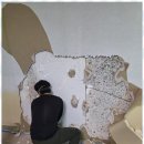 온누리건강하우스 이미지