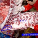 왕의한우 이미지