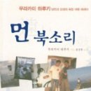 내가좋아하는 이미지