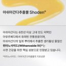 주식회사비플랜트 이미지