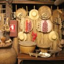 시암아시아 이미지