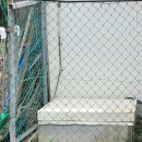 올터쟁반짜장 이미지