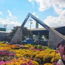 엄궁동 농산물도매시장 맞은편 이미지