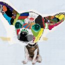 Art Dog(아트독) 이미지