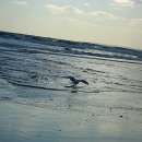 비치웨이 이미지