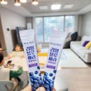 뷰틱 리얼 블루베리 퓨레 100% 후기 요거트 토핑으로 딱 좋은 블루베리 스틱