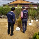 산림유통