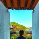 서운정(栖雲亭) 네이버블로그