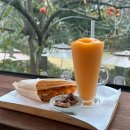 홍시먹으러곶감 이미지