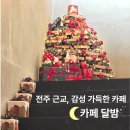 네추럴 팜 | 전주 근교 감성카페 김제 "카페 달밤" 방문후기+꿀팁까지!