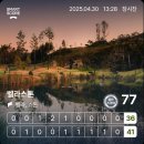 횡성시니어클럽 | &#34;봄철 가성비 골프장 추천: 벨라스톤 CC에서의 하루&#34;