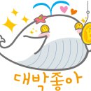 도그빌리지 이미지