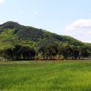 계현2구 이미지