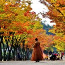 문수