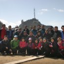 비금초등학교 이미지