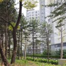 당현천근린공원앞 이미지