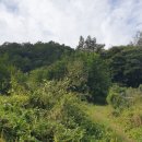 무상MS마트 이미지