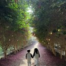 삼강농장 | 제주올패스로 카트·승마 무제한 즐기기! 🏎️🐎 유진팡 바나나 따기 &amp; 삼강식당 오리 샤브샤브