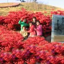 황영조기념관 이미지