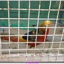 선비농장 이미지