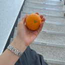 21세기다함