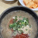 덕흥해수욕장1(상시개방) | 제주도 2박3일 뚜벅이 코스추천 (트립이즈마인 버스투어 내돈내산 후기)