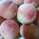 갈촌농장 이미지