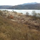 남한강 자전거길 이미지