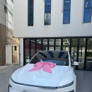 율하서로 | [대구] 홍스 테슬라 모델Y 주니퍼 틴팅,PPF 후기 대구틴팅업체추천 내돈내산