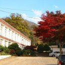 보령중학교 이미지