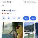 노마드리움